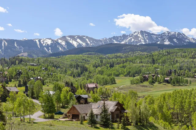 a view of a lush green forest with a building in the background