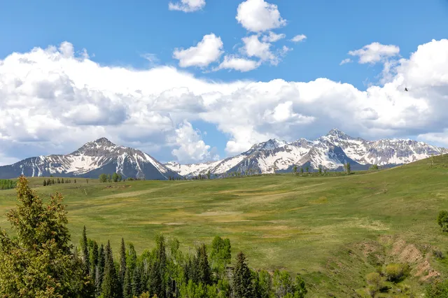 a view of a back yard with green space