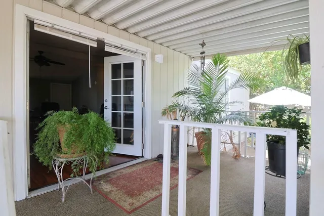 a potted plant sitting in front of a house