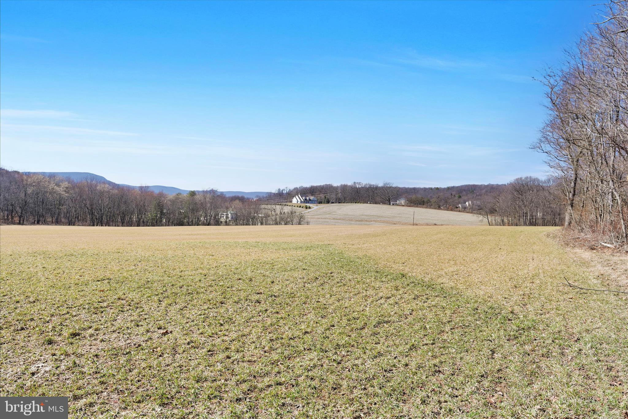147 Scout Road Kempton, PA 19529 - Photo 66 of 74 Backyard
