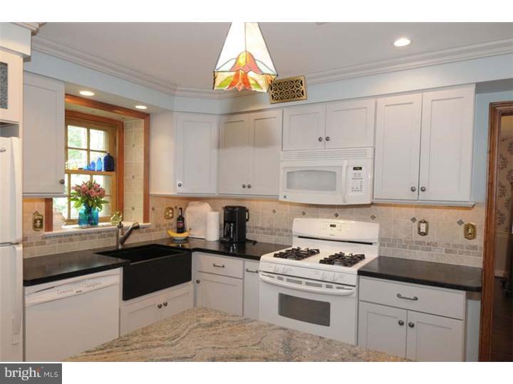 286 Trent Road Wynnewood, PA 19096 - Photo 6 of 22 Kitchen