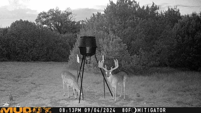 a view of a backyard with table and chairs