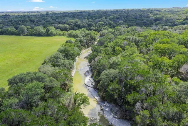 an aerial view of green landscape with trees houses and mountain view