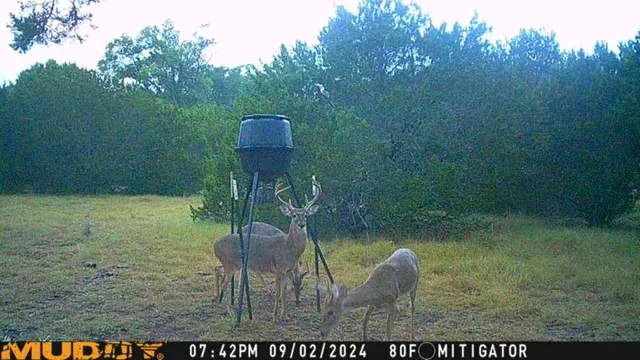 $649,350 | 1044 Audrey Avenue, Waco, TX 76705