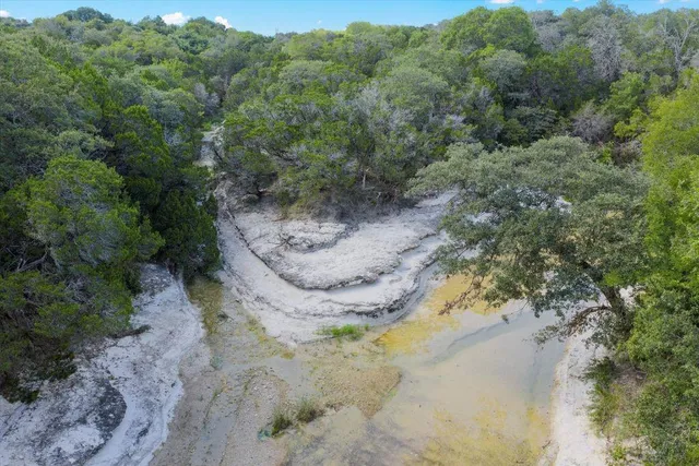 a view of a trees in a forest