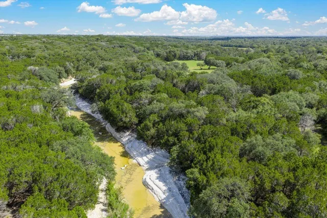 a view of a tree with a yard