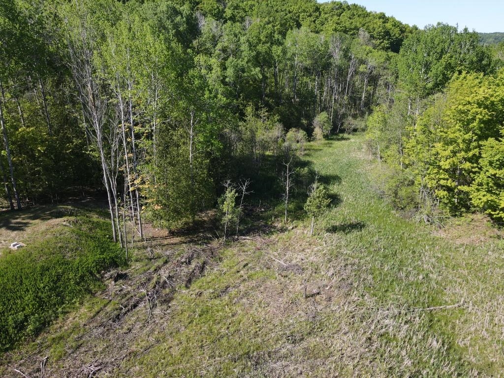 Tbd Pesek Road East Jordan, MI 49727 - Photo 13 of 28
