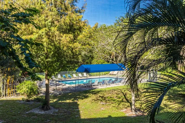 a view of a swimming pool and lounge chairs