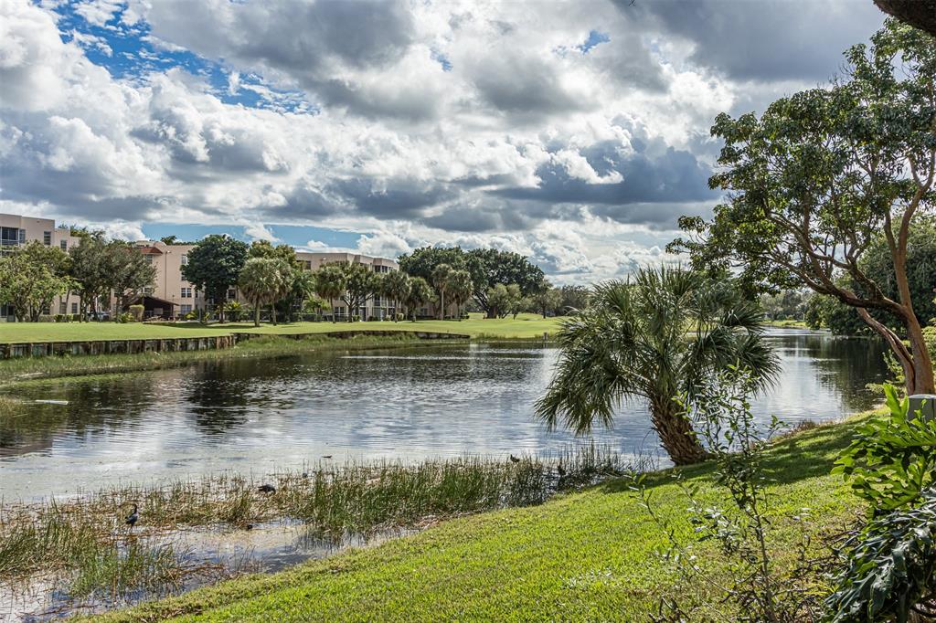 9410 Live Oak Place, Unit 203 Davie, FL 33324 - Photo 40 of 40 a view of a lake