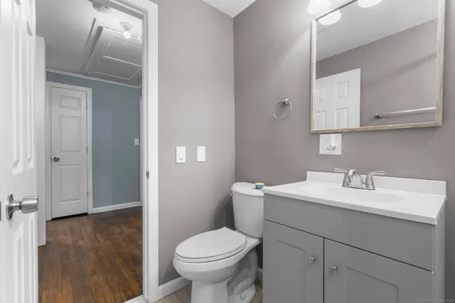 a bathroom with a sink toilet and vanity