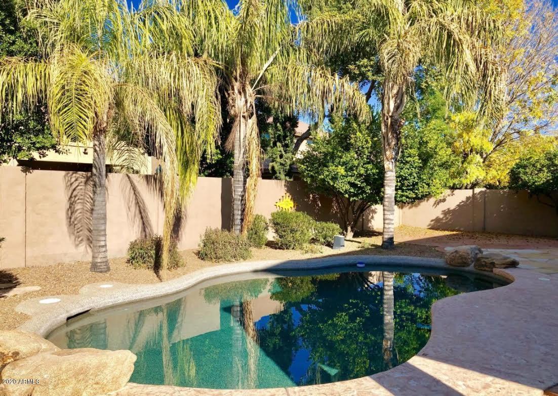 140 West Cardinal Way Chandler, AZ 85286 - Photo 38 of 44 a view of swimming pool with a patio