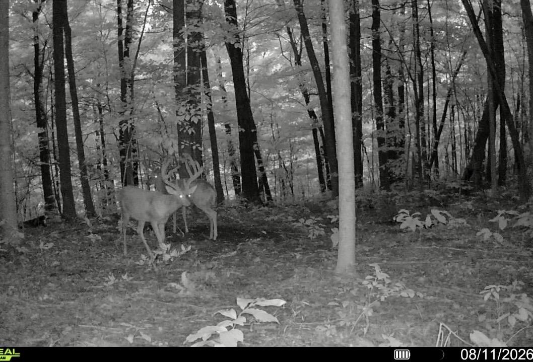 1562 High Ridge Road Middleburg, KY 42541 - Photo 45 of 46 016578001914503-100-3-08112026204052-V-S