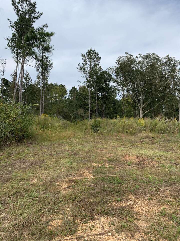 0 Lively Road, Unit LOT#4 Waco, GA 30182 - Photo 1 of 1 a view of a field with a tree in it