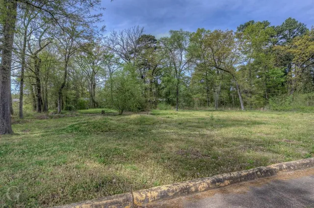 a view of outdoor space with trees all around