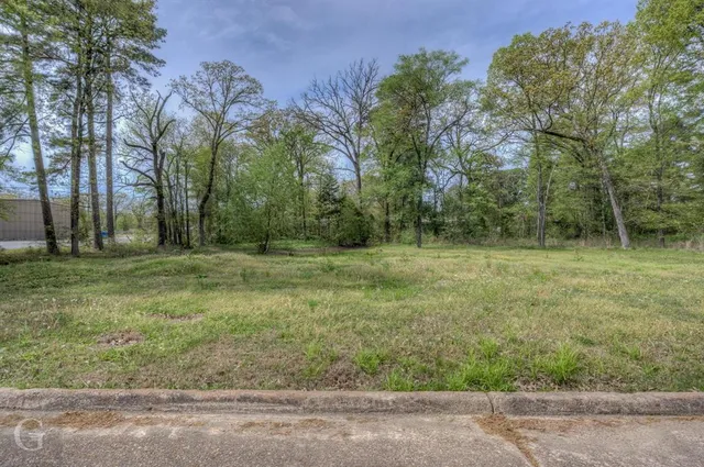 a view of outdoor space with trees all around