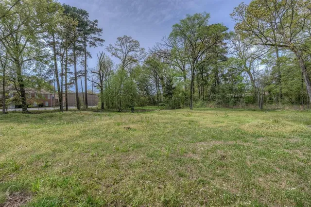 a big yard with lots of green space and trees