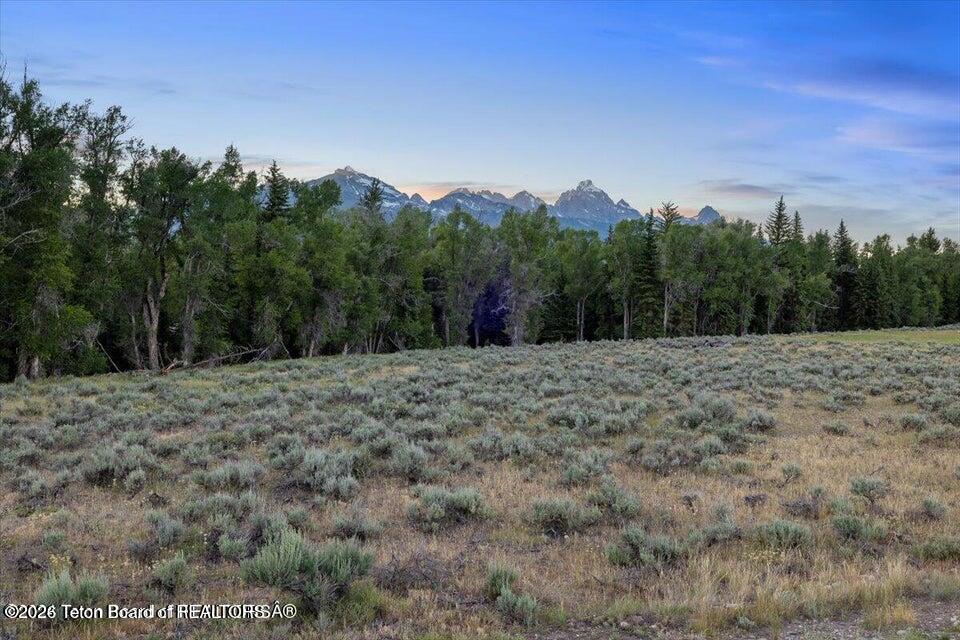 300 Reed Drive Jackson, WY 83001 - Photo 5 of 14 300 8