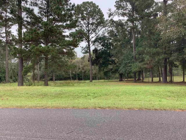 $58,800 | Lot 28 Twin Ponds Drive, Havana, FL 32333