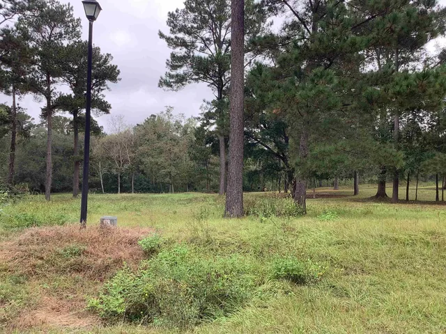 $58,800 | Lot 28 Twin Ponds Drive, Havana, FL 32333