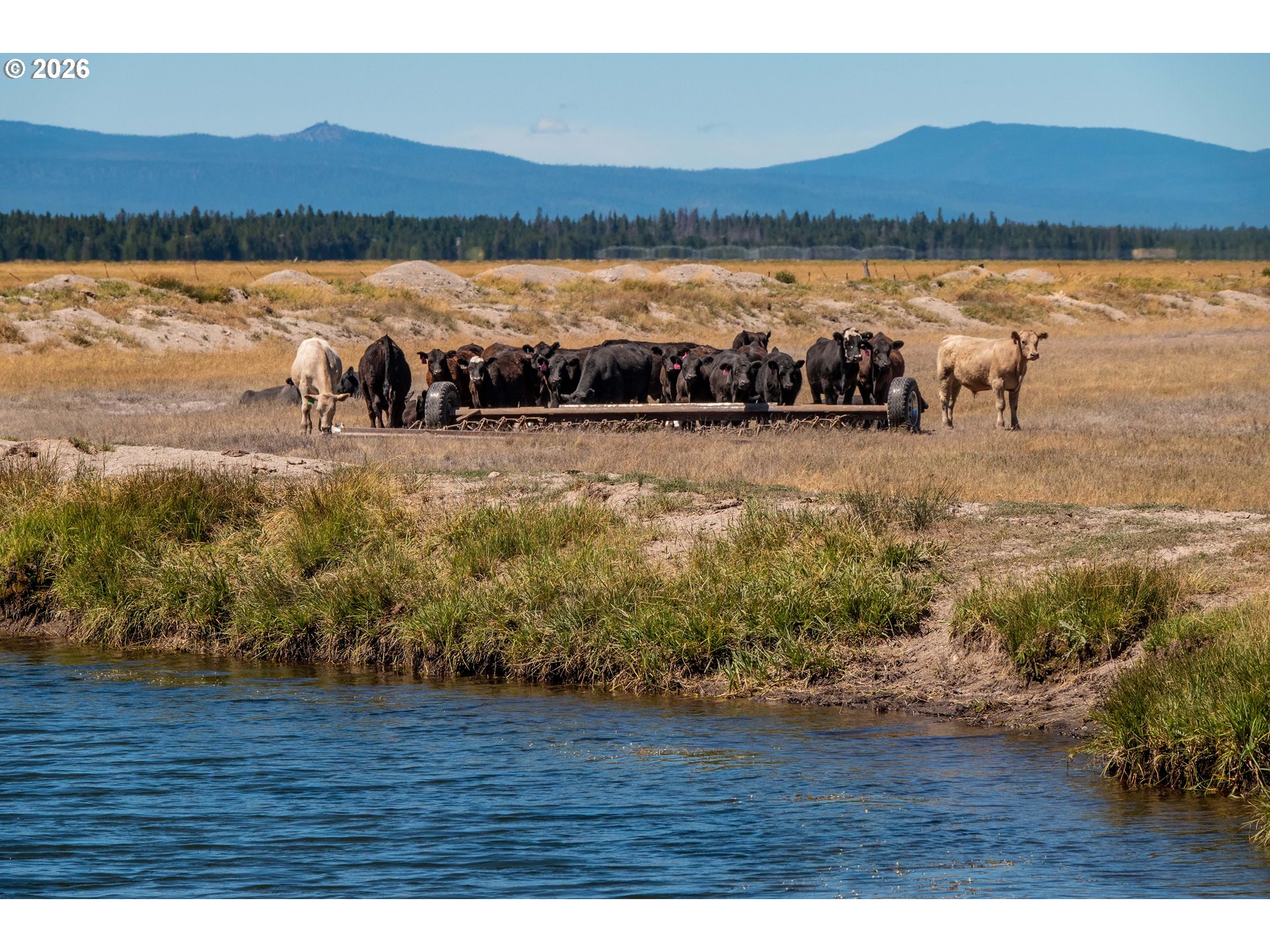 1950 Silver Lake Road Chiloquin, OR 97624 - Photo 13 of 36