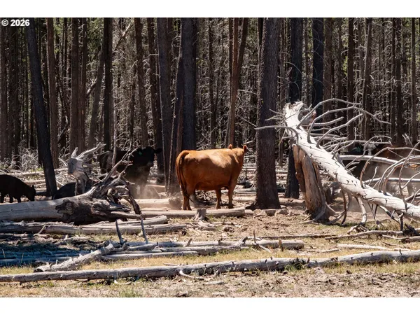 $8,500,000 | 1950 Silver Lake Road, Chiloquin, OR 97624