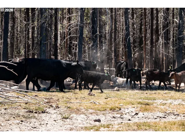 $8,500,000 | 1950 Silver Lake Road, Chiloquin, OR 97624