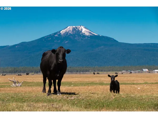 $8,500,000 | 1950 Silver Lake Road, Chiloquin, OR 97624