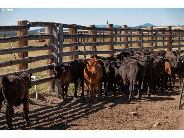 $8,500,000 | 1950 Silver Lake Road, Chiloquin, OR 97624