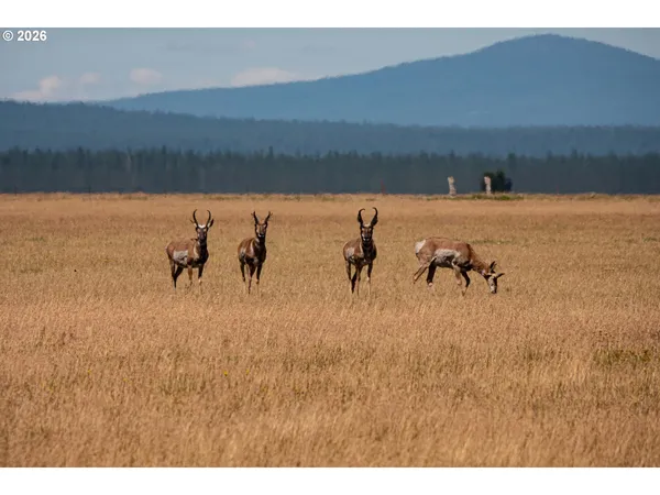 $8,500,000 | 1950 Silver Lake Road, Chiloquin, OR 97624