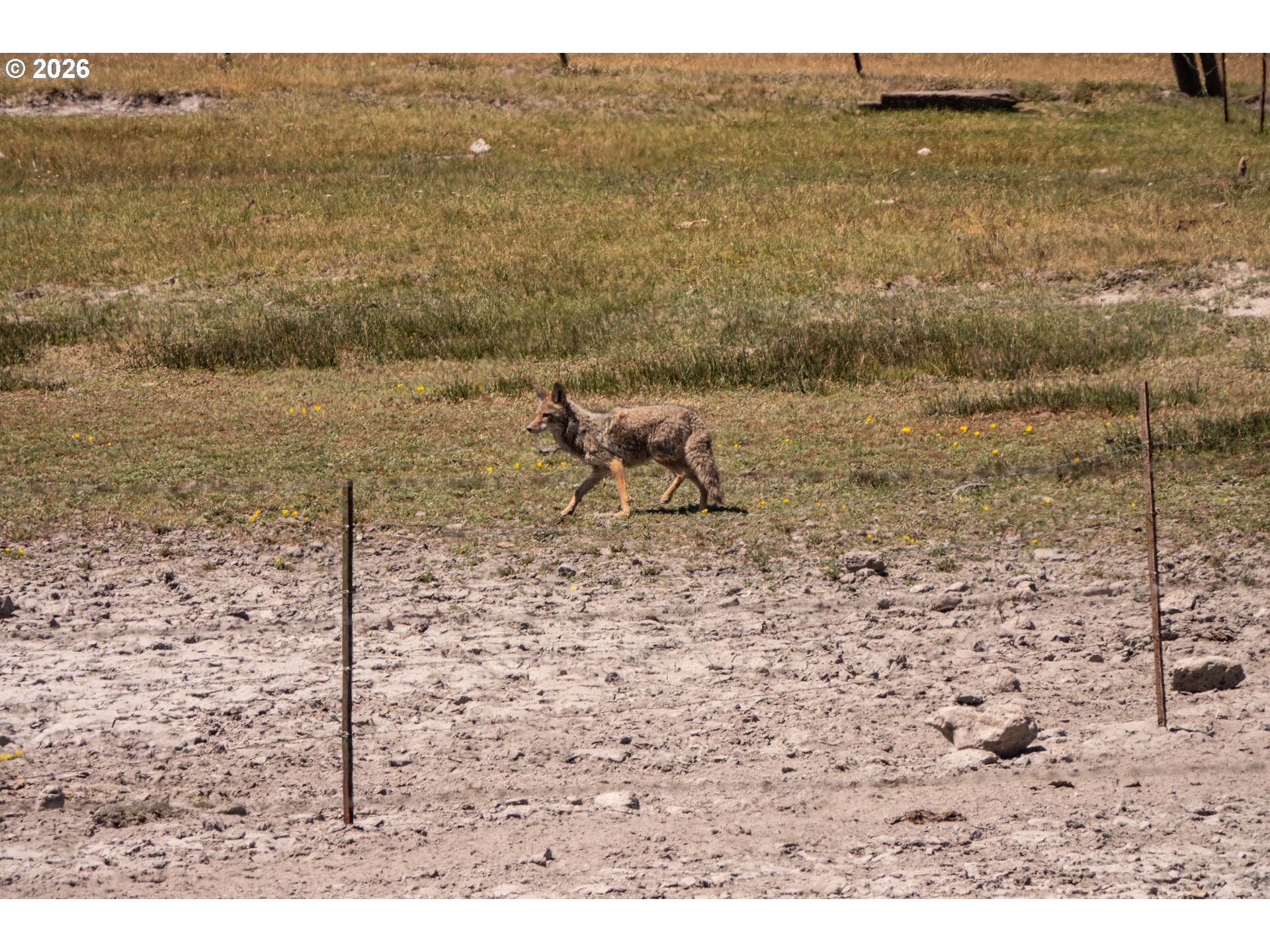 1950 Silver Lake Road Chiloquin, OR 97624 - Photo 33 of 36
