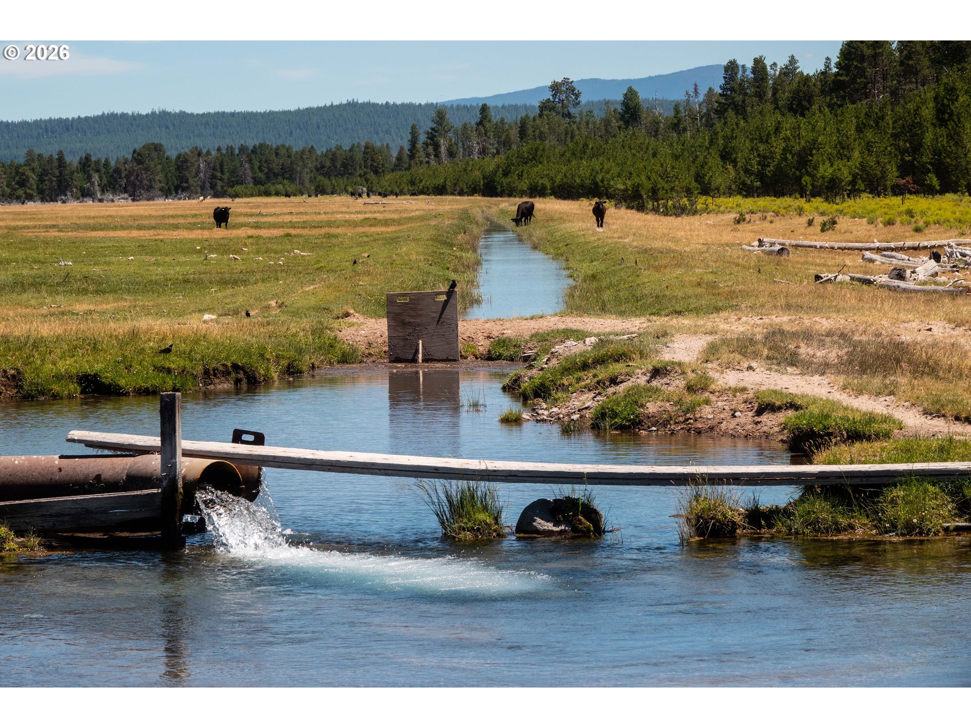 1950 Silver Lake Road Chiloquin, OR 97624 - Photo 4 of 36