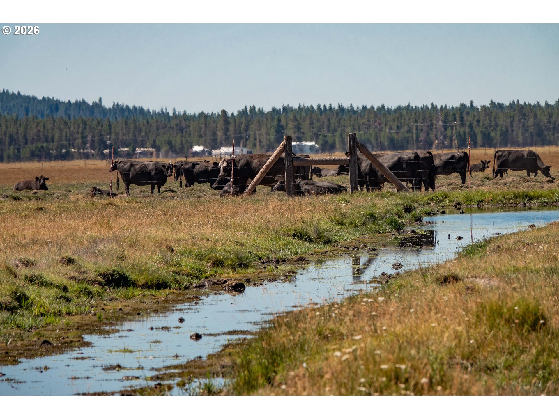 1950 Silver Lake Road Chiloquin, OR 97624 - Photo 7 of 36