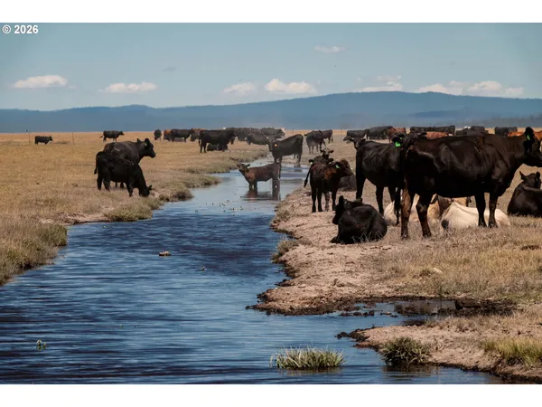 $8,500,000 | 1950 Silver Lake Road, Chiloquin, OR 97624