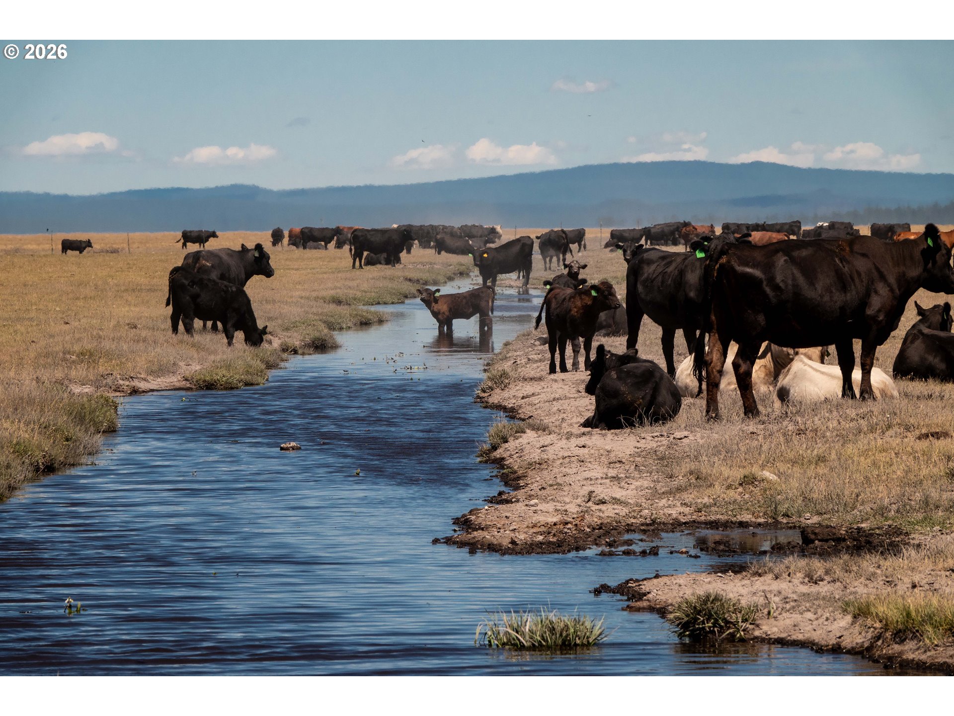 1950 Silver Lake Road Chiloquin, OR 97624 - Photo 8 of 36
