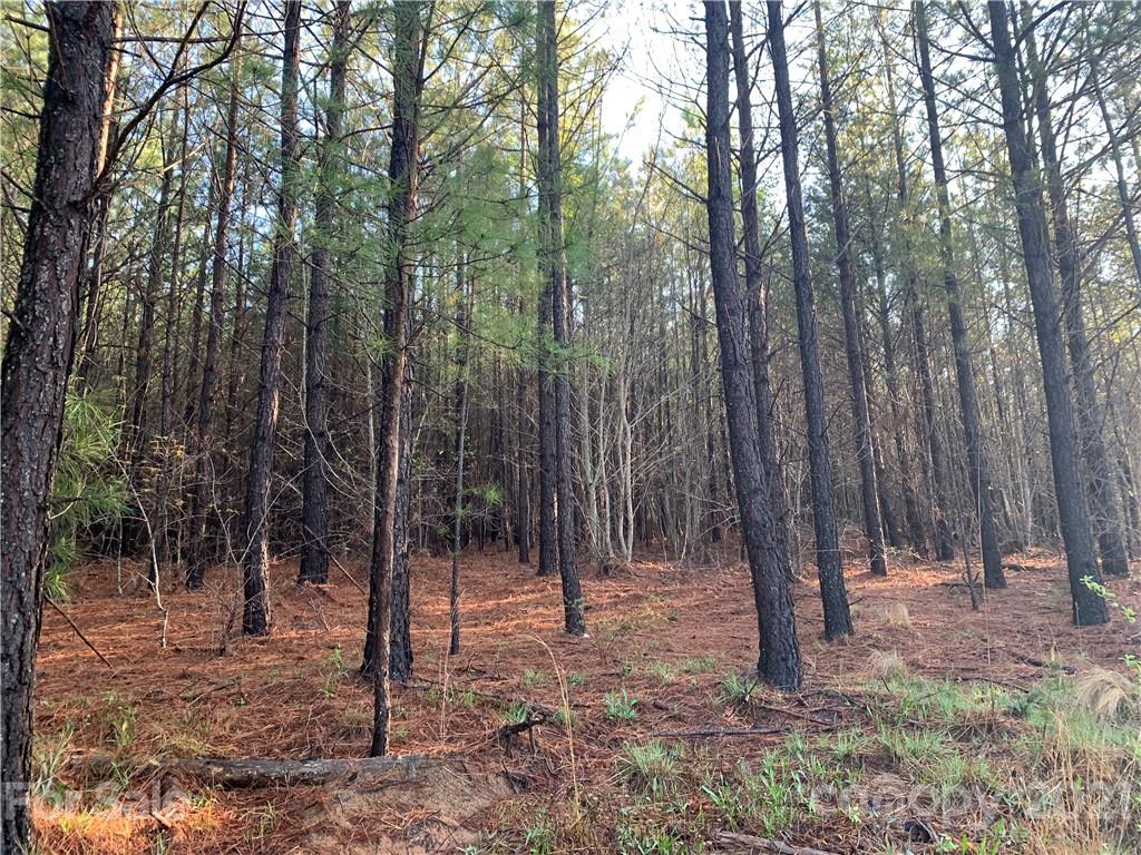 999 Green River Cove Road, Unit 16 Mill Spring, NC 28756 - Photo 1 of 3 a view of outdoor space with lots of trees