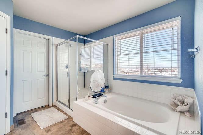 10649 Wagon Highlands Ranch Highlands Ranch, CO 80130 - Photo 22 of 40 Gallery Image 22