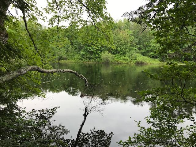 0 Sokokis Road Parsonsfield, ME 04047 - Photo 4 of 9 IMG_1943