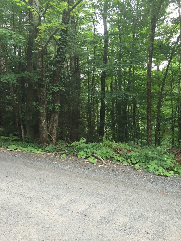 0 Sampson Road Huntington, MA 01050 - Photo 2 of 3