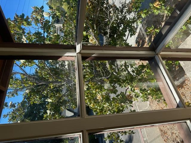 751 Roble Avenue Menlo Park, CA 94025 - Photo 7 of 41 a view of a garden from a window