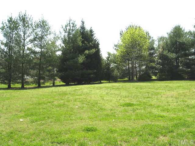9500 Applewhite Road Wendell, NC 27591 - Photo 12 of 12 Back Yard