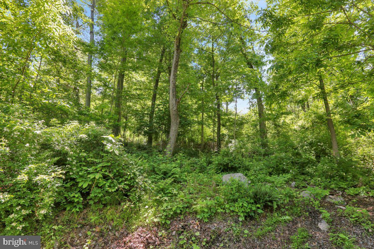 0 Huffs Church Road Barto, PA 19504 - Photo 7 of 8