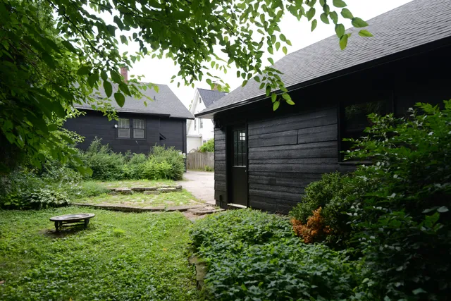 a view of a backyard with plants