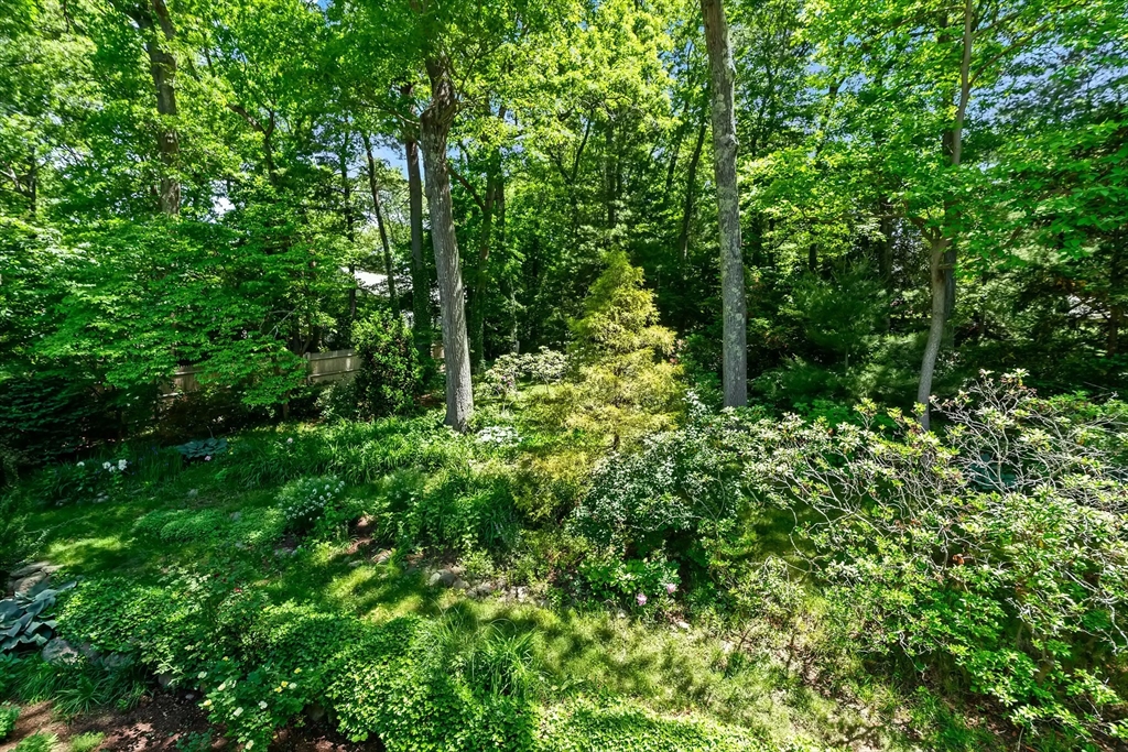 42 Temple Road Wellesley, MA 02482 - Photo 31 of 40