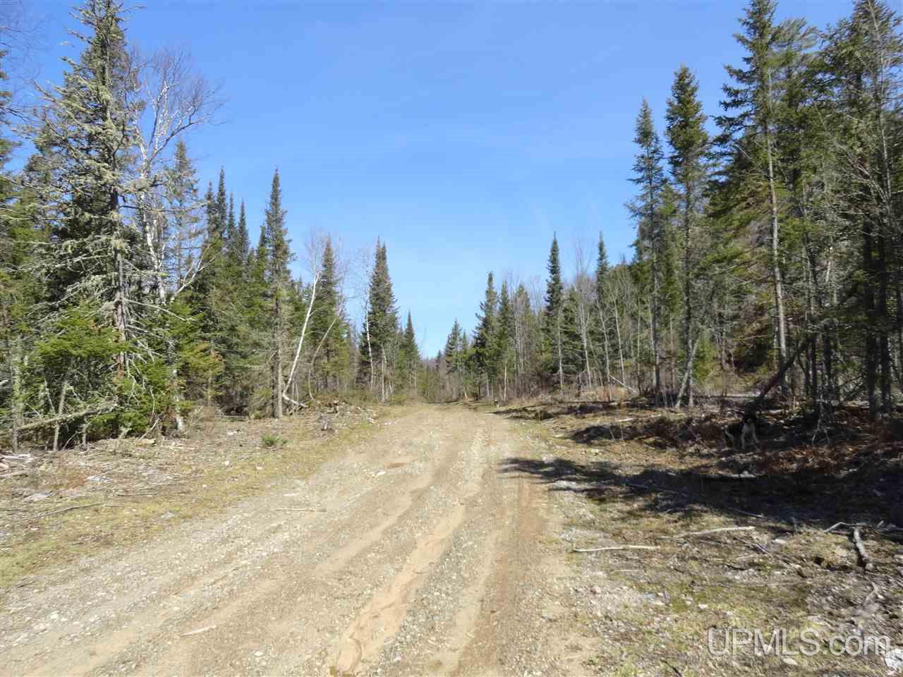 68-acres Peshekee Grade Road Skanee, MI 49861 - Photo 5 of 14