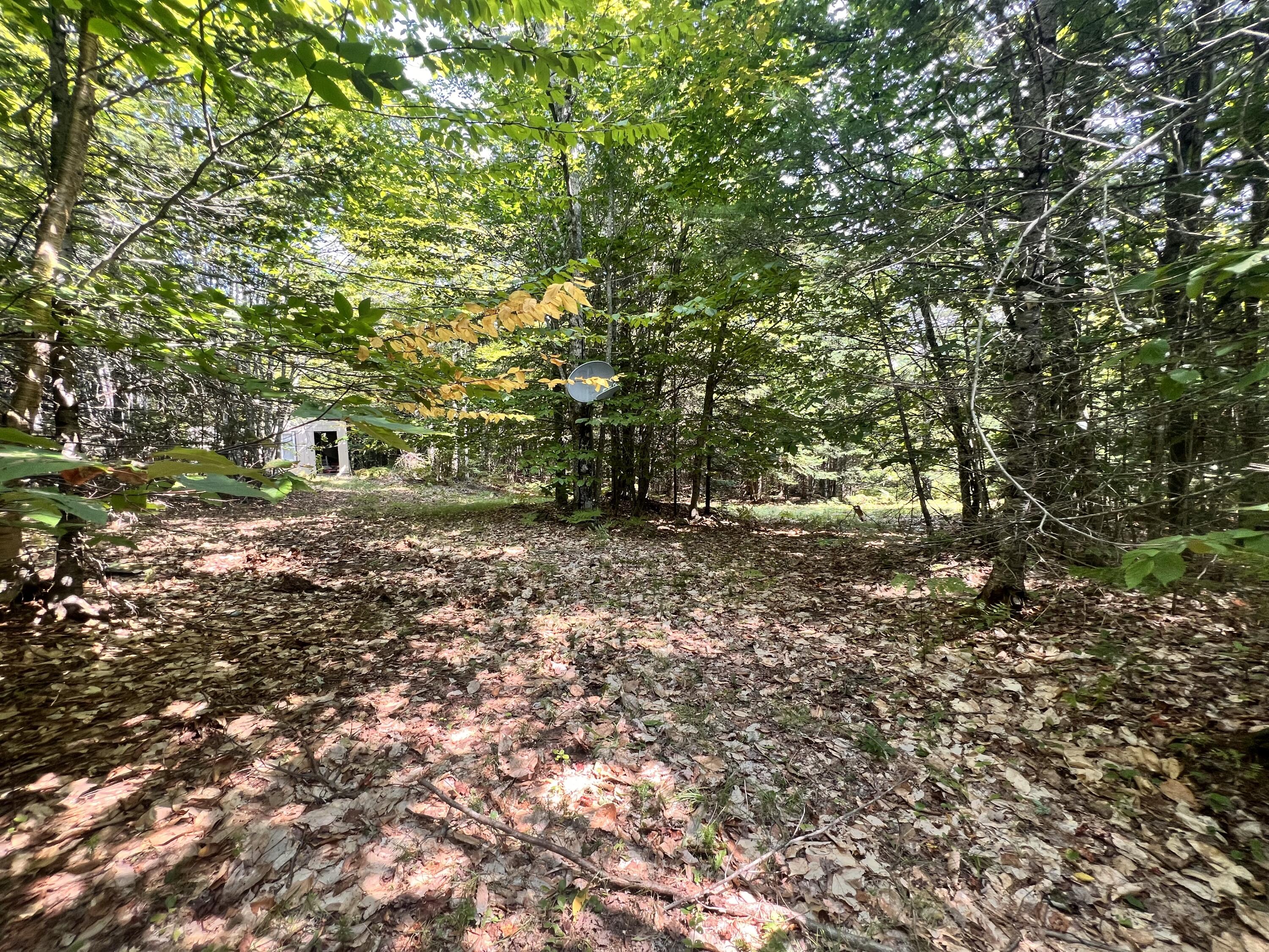 99 Stoney Rdg Road Dexter, ME 04930 - Photo 20 of 29 IMG-4939