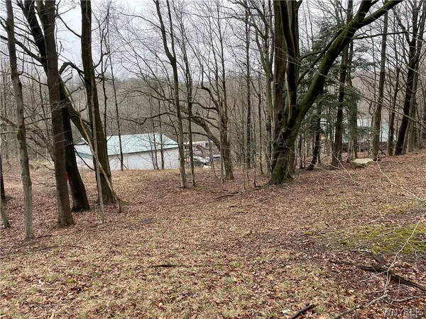 $475,000 | 11335 Wyandale Road, Concord, NY 14141