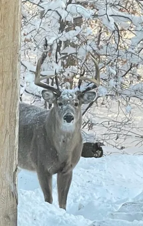 $799,000 | 26088 Broadway Avenue, Detroit Lakes, MN 56501