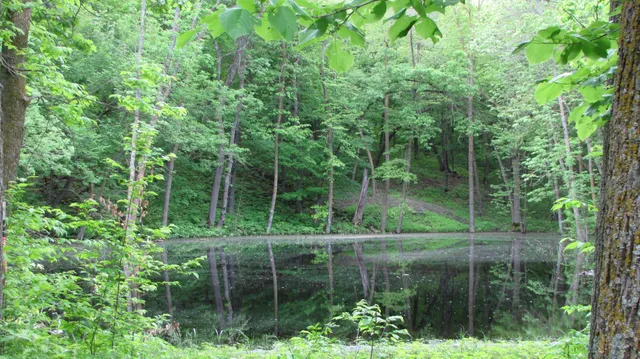 $819,000 | 26088 Broadway Avenue, Detroit Lakes, MN 56501