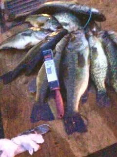 $799,000 | 26088 Broadway Avenue, Detroit Lakes, MN 56501