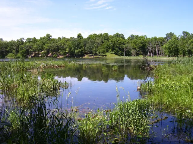 $819,000 | 26088 Broadway Avenue, Detroit Lakes, MN 56501